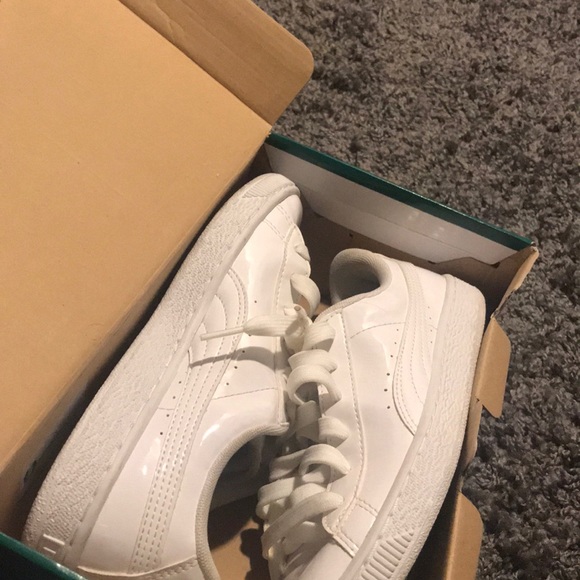 Pumas - Picture 1 of 4